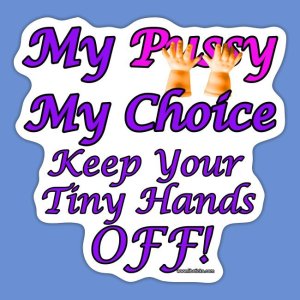 My Pussy My Choice Keep Your Tiny Hand Off! 4x4 sticker